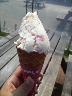 ���̉w�ɂ݂̂�