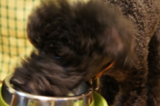 �H����