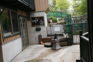 cafe