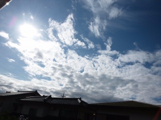 �����̓V�C