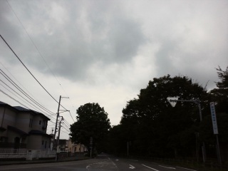�����̓V�C