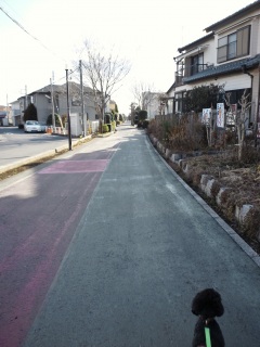 �Ȃ��悵�ʂ�