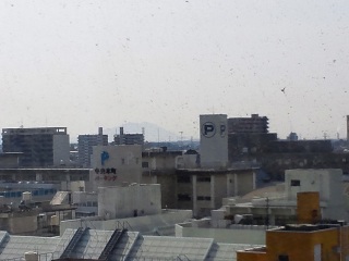 �����̓V�C