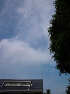 �����̓V�C